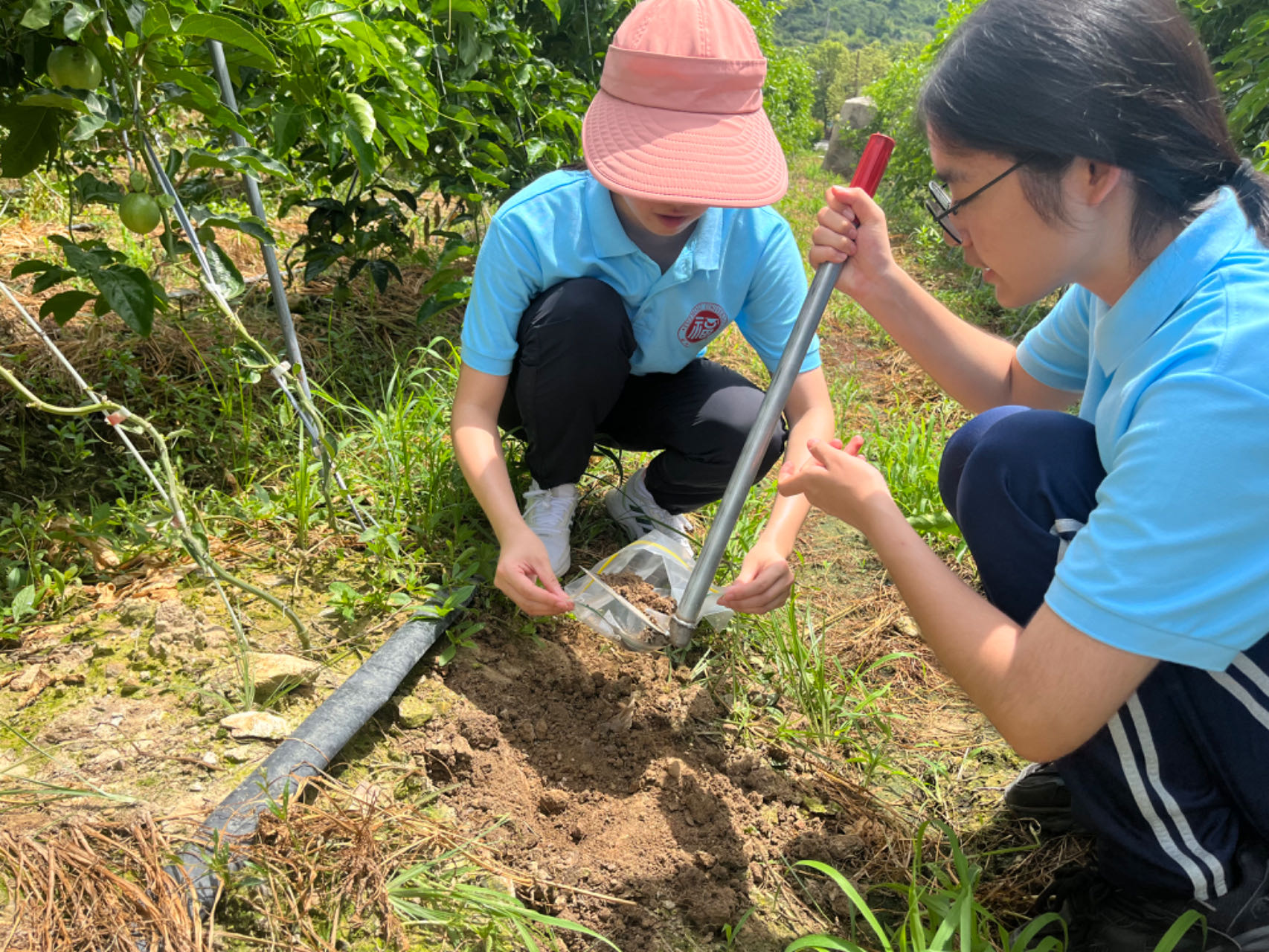 实践队员深入田间地头开展土壤取样.jpg