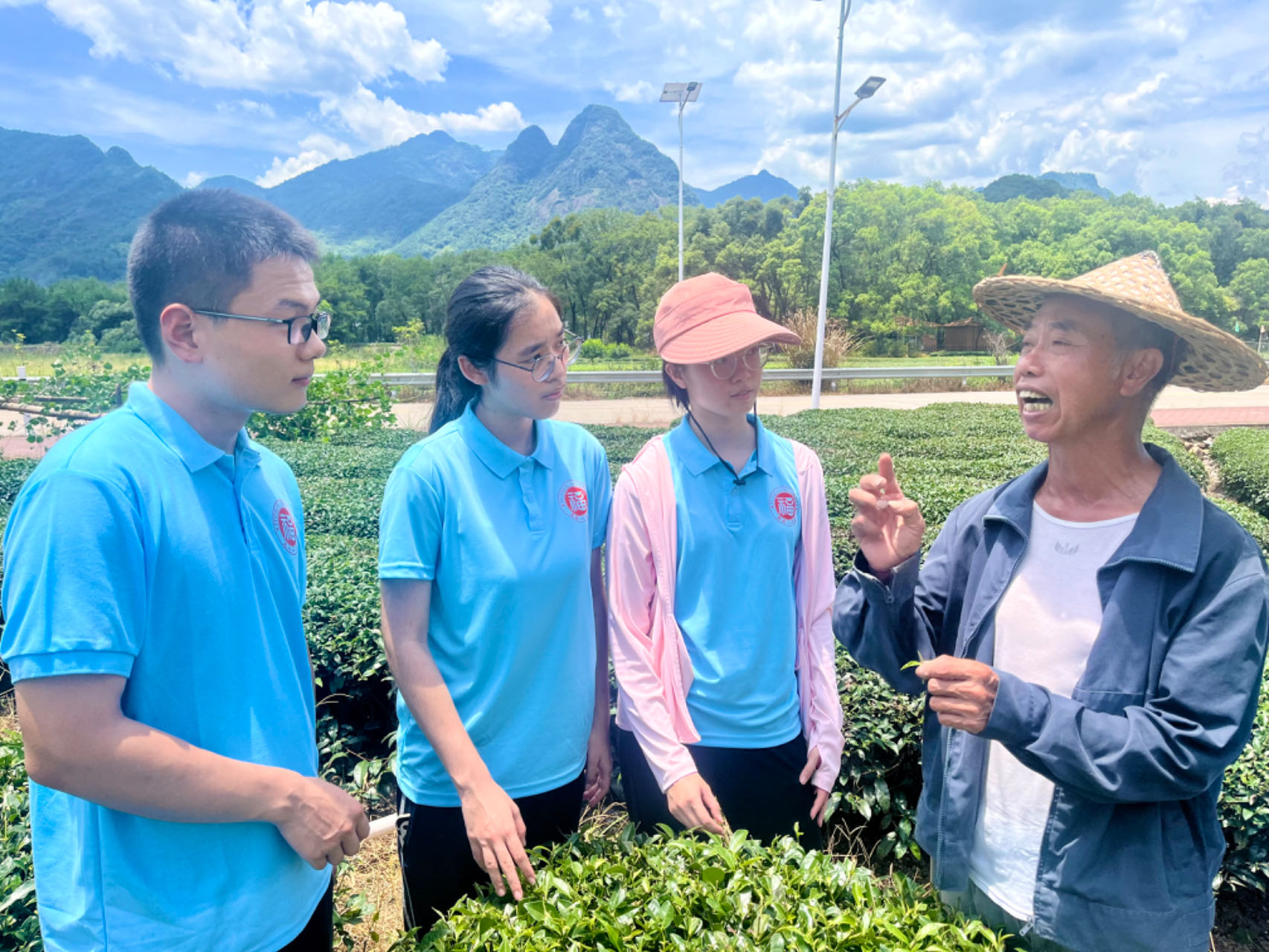 实践队在宁德霍童茶园开展调研学习.jpg